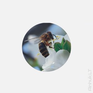 Винтовые крышки &laquo;Мёд&raquo; 82 мм (разные) - 3